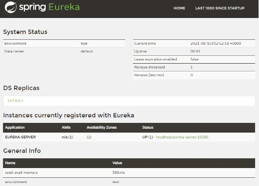 Eureka启动成功界面